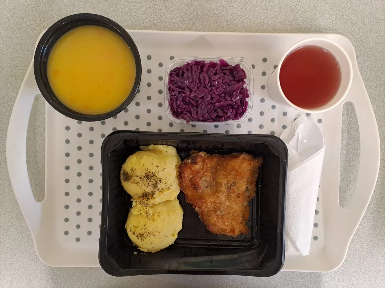 Obiad: dieta podstawowa dyniowa z makaronem 400 ml (GLU PSZ, MLE, SEL), ziemniaki gotowane 250 g, ryba smażona (morszczuk) 90 g (GLU PSZ, JAJ, RYB), sałatka z kapusty czerwonej z olejem 150 g, kompot owocowy z jabłkami 250 ml 