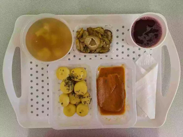 Obiad: dieta podstawowa

kompot owocowy b/c- 250ml, zupa jarzynowa z ziemniakami - 400ml (mleko seler), kluski śląskie - 200g (gluten), karczek pieczony z cebulką w sosie kminkowym – 100g, sałatka szwedzka - 150g