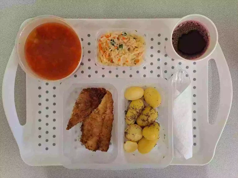 Obiad: dieta podstawowa

kompot owocowy - 250ml, zupa pomidorowa z ryżem - 400ml (seler, mleko), miruna panierowana w panko - 130g (jaja, gluten, ryba), ziemniaki gotowane z koperkiem - 200g, surówka z kapusty kiszonej - 150g