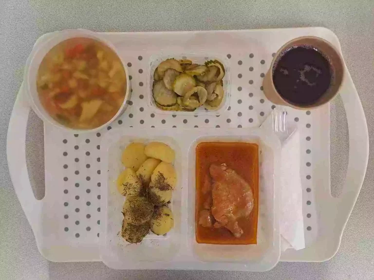 Obiad: dieta podstawowa

kompot owocowy b/c 250ml, zupa jarzynowa z ziemniakami 400 ml (mleko, seler), kluski śląskie 200 g (gluten), bitka wieprzowa 80 g, sos własny 50 ml (gluten), sałatka szwedzka 150 g