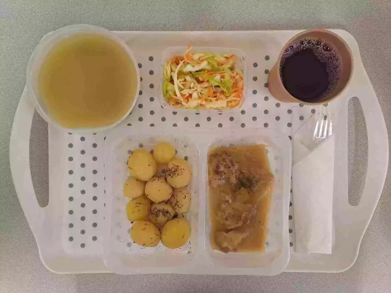 Obiad: dieta podstawowa

kompot owocowy b/c 250ml, zupa brokułowa z makaronem 400ml (mleko, gluten, jaja, seler), udziec z kurczaka gotowany 80 g, sos pietruszkowy 50 ml (mleko), ziemniaki gotowane 200 g, surówka wielowarzywna 150g