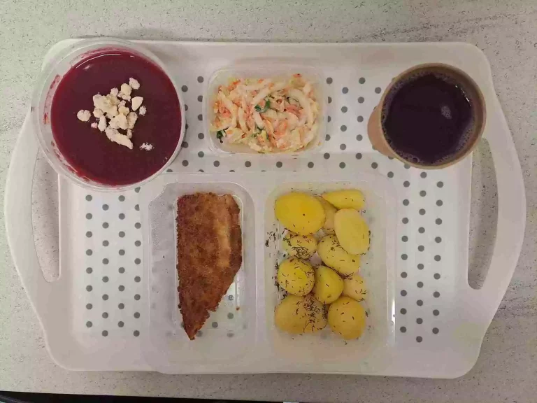 Obiad: dieta podstawowa

kompot owocowy b/c 250ml, zupa krem z buraków z grzankami – 400ml (gluten, mleko, seler), miruna smażona 80 g (jaja, mleko, gluten, ryba), ziemniaki gotowane 200g, surówka z kapusty pekińskiej i marchewki 150 g (mleko)