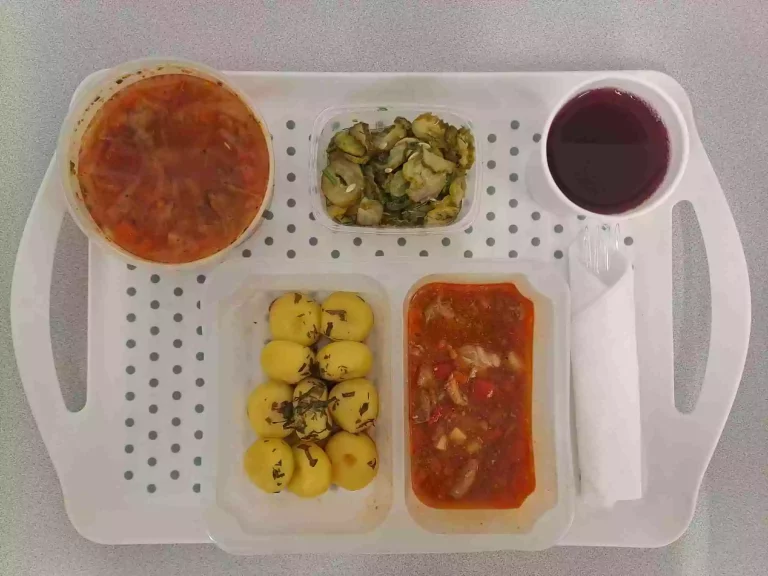 Obiad: dieta podstawowa

kompot owocowy b/c 250ml, kapuśniak z młodej kapusty z ziemniakami 400ml (seler), gulasz wieprzowy 150 g (gluten), kluski śląskie 200 g (gluten), sałatka szwedzka 150 g