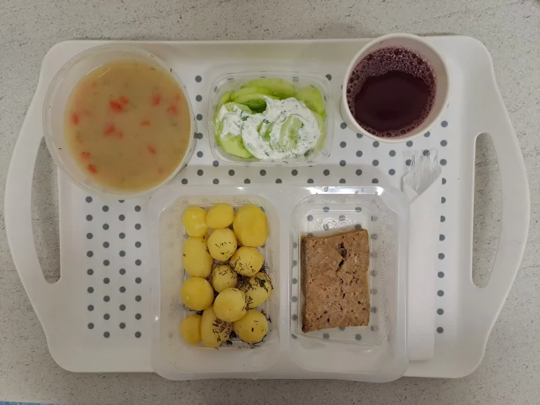 Obiad, dieta z ograniczeniem łatwo przyswajalnych węglowodanów: kompot owocowy b/c 250ml, koperkowa z zacierką 400 ml (seler, mleko), pieczeń rzymska 80 g (jaja, gluten, mleko), ziemniaki gotowane 200 g, mizeria 150 g (mleko)