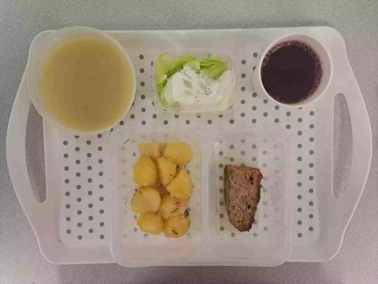 Obiad: dieta podstawowa

kompot owocowy b/c 250ml, koperkowa z zacierką 400 ml (seler, mleko), pieczeń rzymska 80 g (jaja, gluten, mleko), ziemniaki gotowane z koperkiem 200 g, mizeria 150 g (mleko)