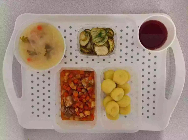 Obiad: dieta podstawowa

kompot owocowy b/c 250ml, kapuśniak z kapusty kiszonej z ziemniakami 400ml (seler), gulasz wieprzowy 150 g (gluten), kluski śląskie 200 g (gluten), sałatka szwedzka 150 g