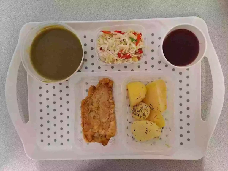 Obiad: dieta podstawowa

kompot owocowy b/c 250 ml, zupa krem z zielonych warzyw z grzankami 400 ml (gluten, seler, mleko), filet z piersi kurczaka smażony w cieście naleśnikowym 110 g (jaja, gluten, mleko), ziemniaki gotowane z koperkiem 200 g, surówka z papryki 150 g (mleko)