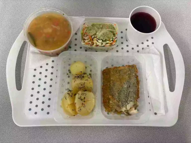Obiad: dieta podstawowa

kompot owocowy b/c 250ml, zupa jarzynowa z ryżem 400 ml (seler, mleko), miruna w panko smażona 110 g (jaja, mleko, gluten, ryba), ziemniaki gotowane z koperkiem 200 g, surówka z kapusty pekińskiej z sosem vinegret 150 g