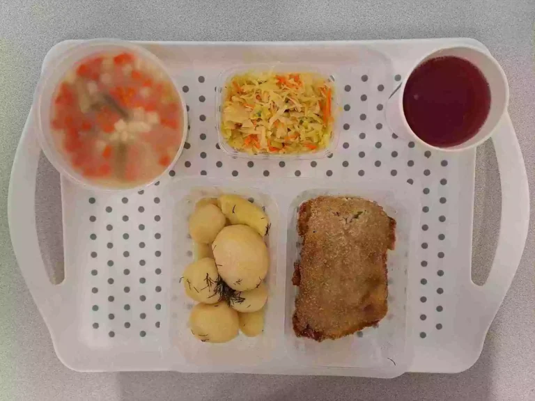 Obiad: dieta podstawowa

kompot owocowy b/c 250ml, zupa jarzynowa z ryżem 400 ml (seler, mleko), miruna w panko smażona 110 g (jaja, mleko, gluten, ryba), ziemniaki gotowane z koperkiem 200 g, surówka z kapusty kiszonej 150 g
