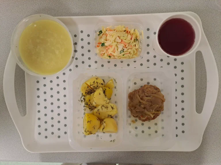 Obiad, dieta z ograniczeniem łatwo przyswajalnych węglowodanów: kompot owocowy b/c 250ml, koperkowa z zacierką 400 ml (seler, mleko), rumsztyk wieprzowy mielony, pieczony z 80 g z cebulą 20 g (jaja, gluten, mleko), ziemniaki gotowane z kop. 200 g, surówka Colesław 150 g (mleko)