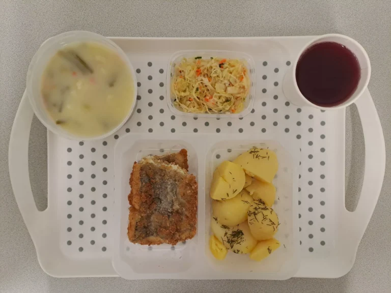 Obiad, dieta podstawowa: ompot owocowy b/c 250 ml, zupa jarzynowa z ryżem 400 ml (seler, mleko), miruna panierowana 110 g (jaja, mleko, gluten, ryba), ziemniaki gotowane z koprem 200 g, surówka z kapusty kiszonej 150 g